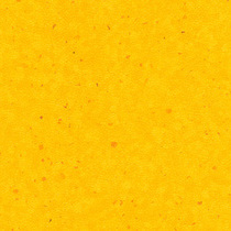 0231 Yellow